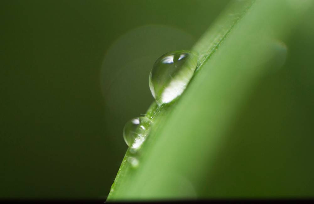 Gota de agua sobre hoja verde que ilustra el concepto de hidratación y humectación en el cuidado de la piel